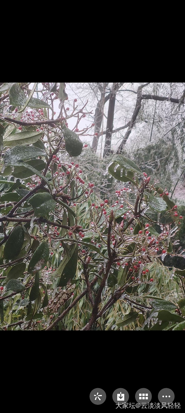 立春 立志 立行
瑞雪迎春，冻雨小雪先后如约而至。期盼中一片白茫茫的雪景未见，倒..._生活