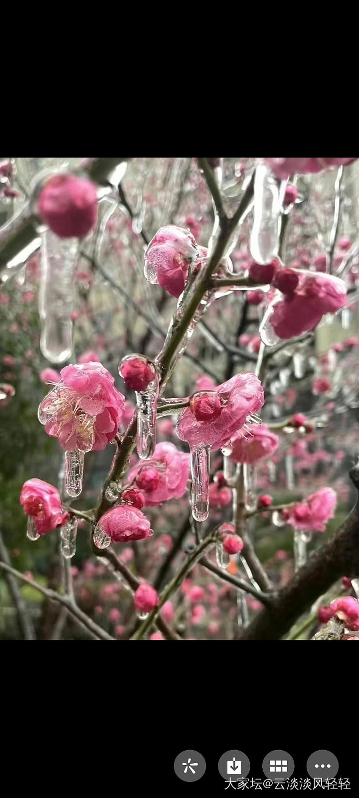 立春 立志 立行
瑞雪迎春，冻雨小雪先后如约而至。期盼中一片白茫茫的雪景未见，倒..._生活