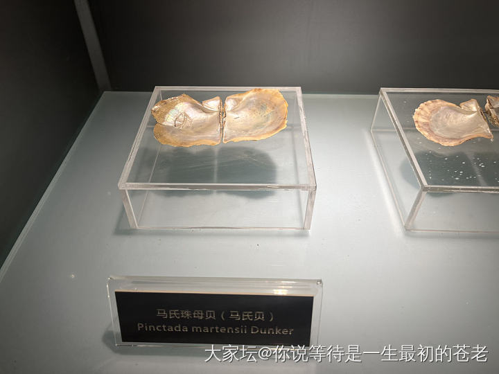 京润珍珠博物馆_珍珠