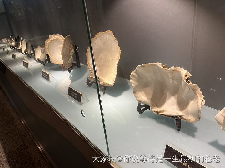 京润珍珠博物馆_珍珠