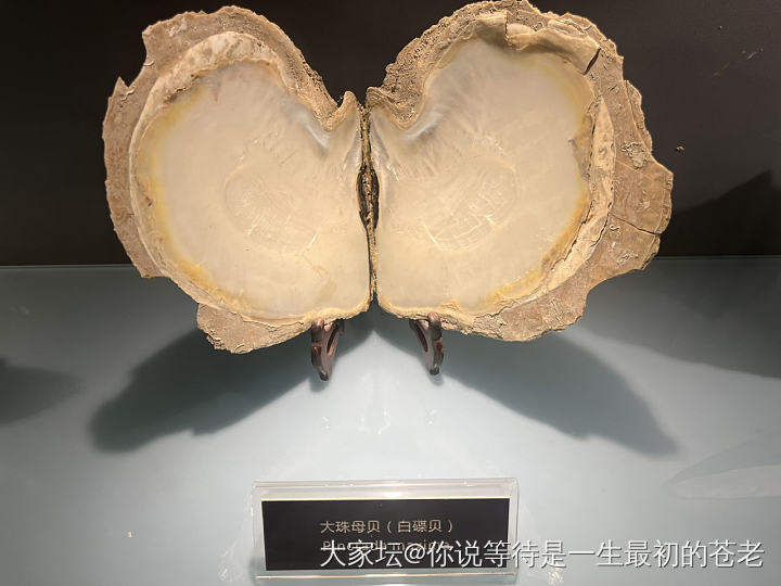 京润珍珠博物馆_珍珠