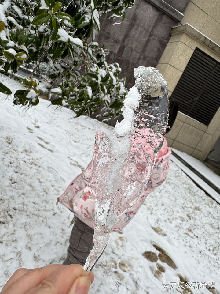 冰比雪多的城市_闲聊