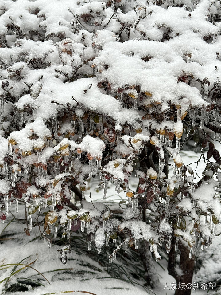 冰比雪多的城市_闲聊