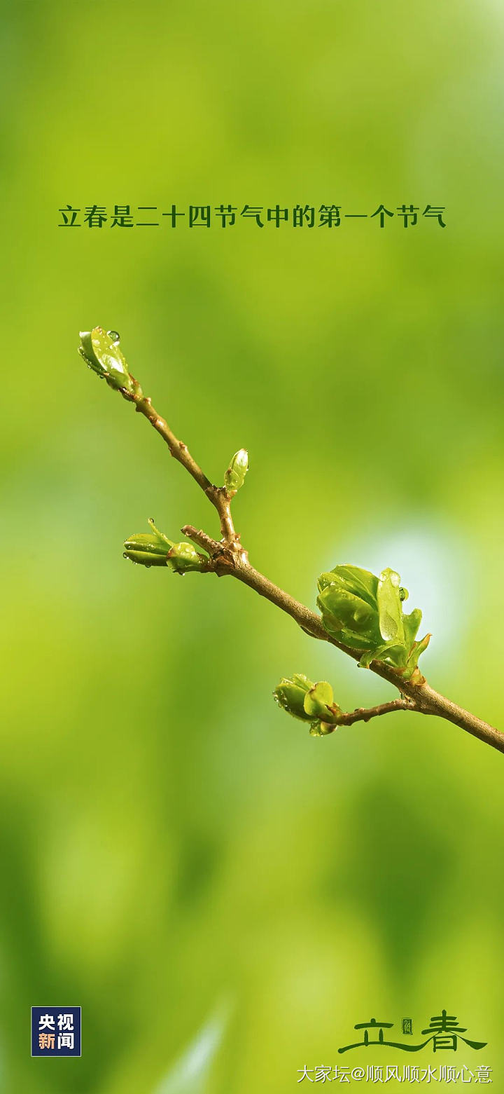 立春_节日