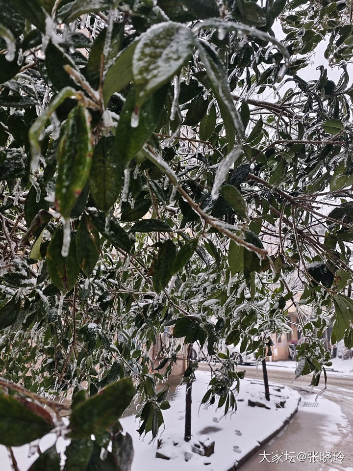 布灵布灵🤣冻武汉_旅游