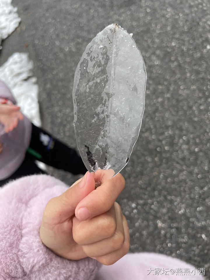 苦中作乐的冻雨受害人_彩色宝石