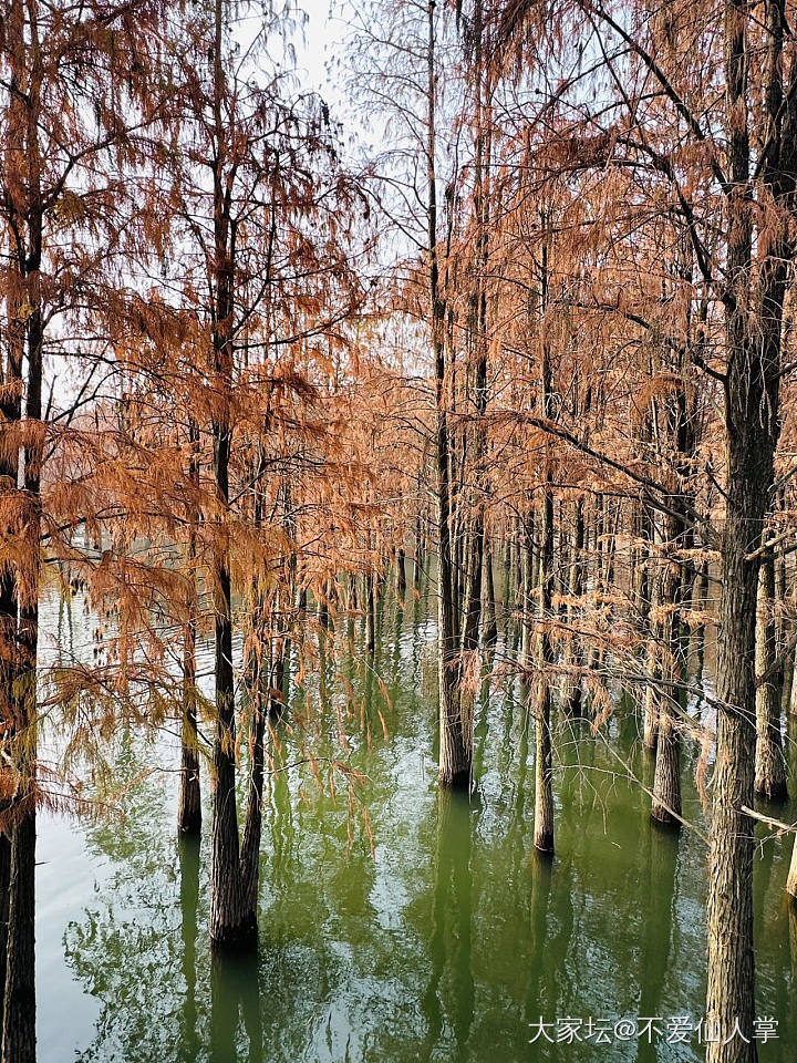 抱歉，该主题仅高等级用户可见_兔年总结劳力士