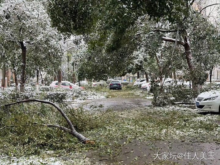 苦中作乐的冻雨受害人_彩色宝石