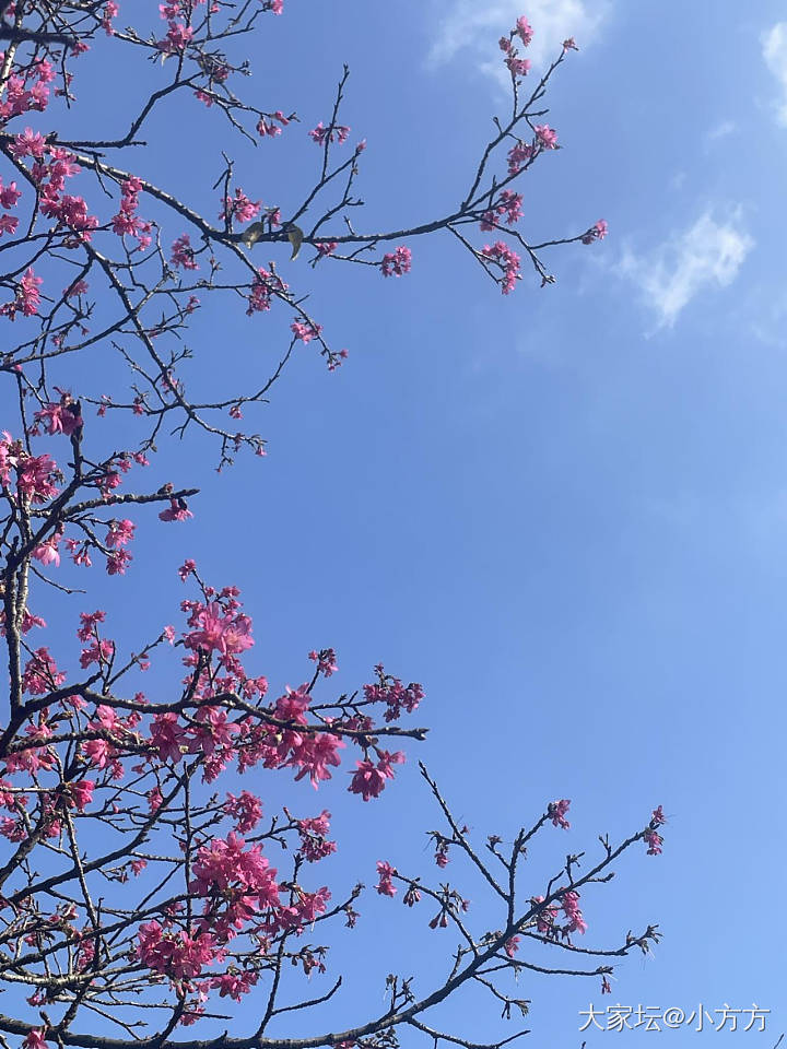 我又来种草三月的西藏_西藏旅游闲聊