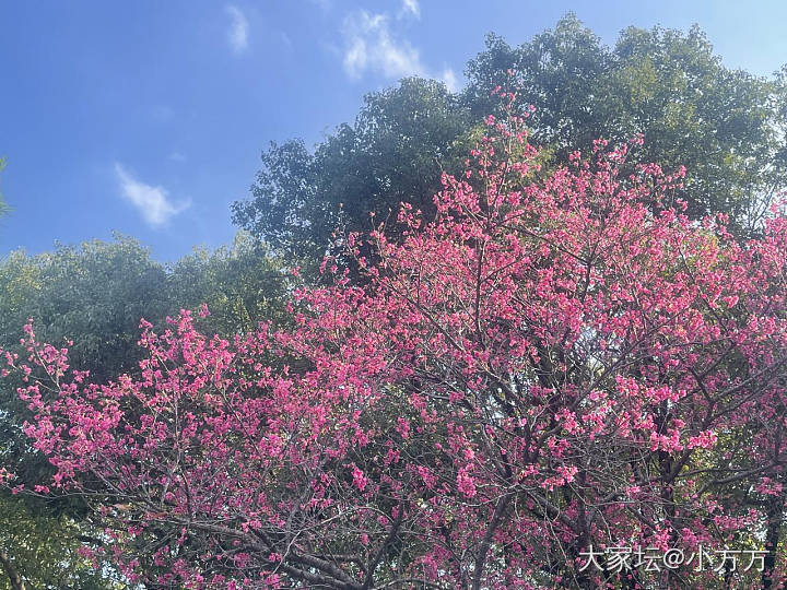 我又来种草三月的西藏_西藏旅游闲聊