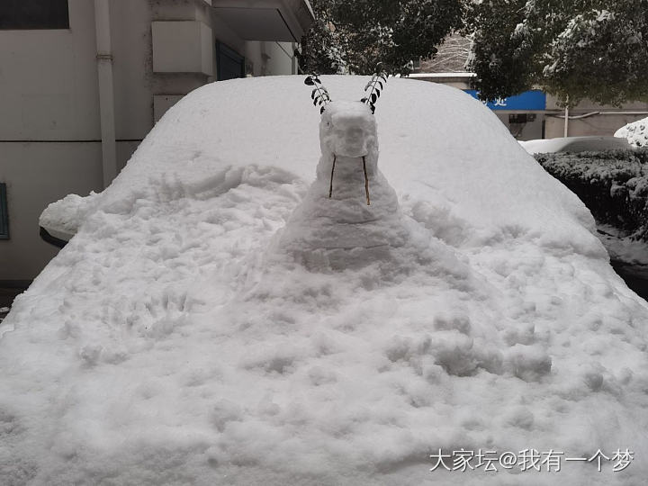 武汉的雪终于停了_闲聊