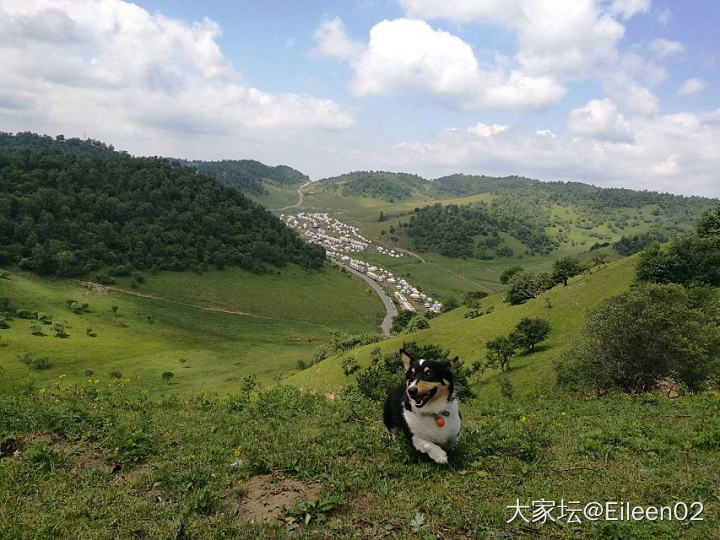 永远的晚饭_金
