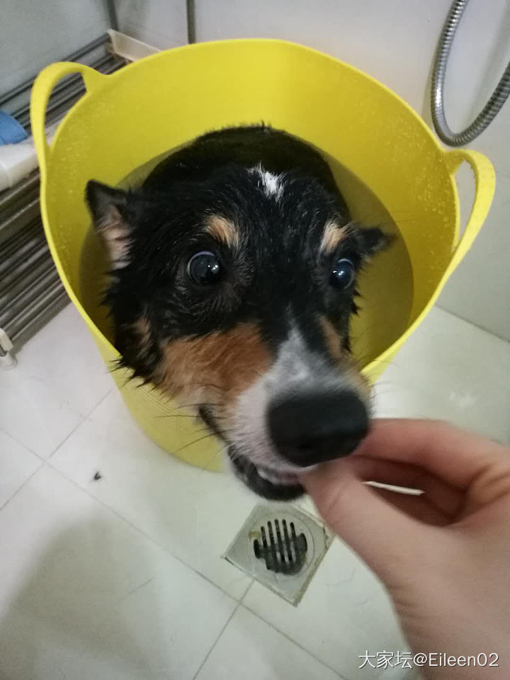 永远的晚饭_金