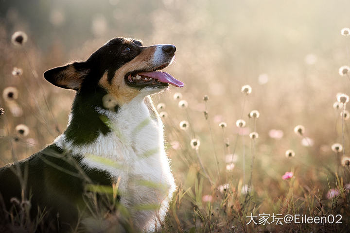 永远的晚饭_金