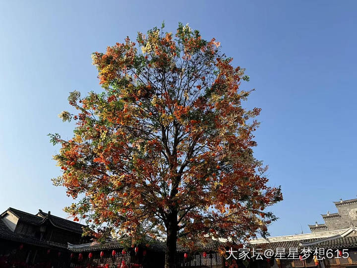 初一大家新年好！_节日