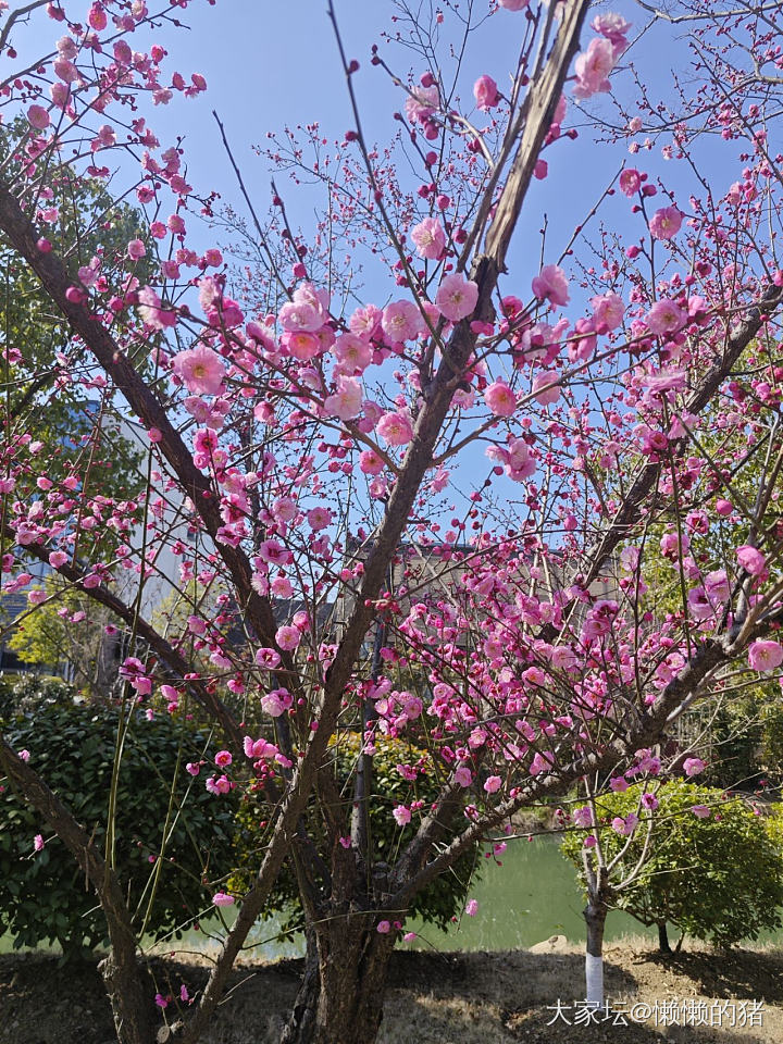 出游装备_首饰