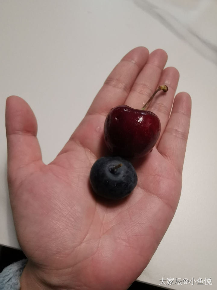 败家老公，这蓝莓的个头快赶上3J车厘子大小了，也没敢问多钱，怕肉疼，吃就完了😂_水果