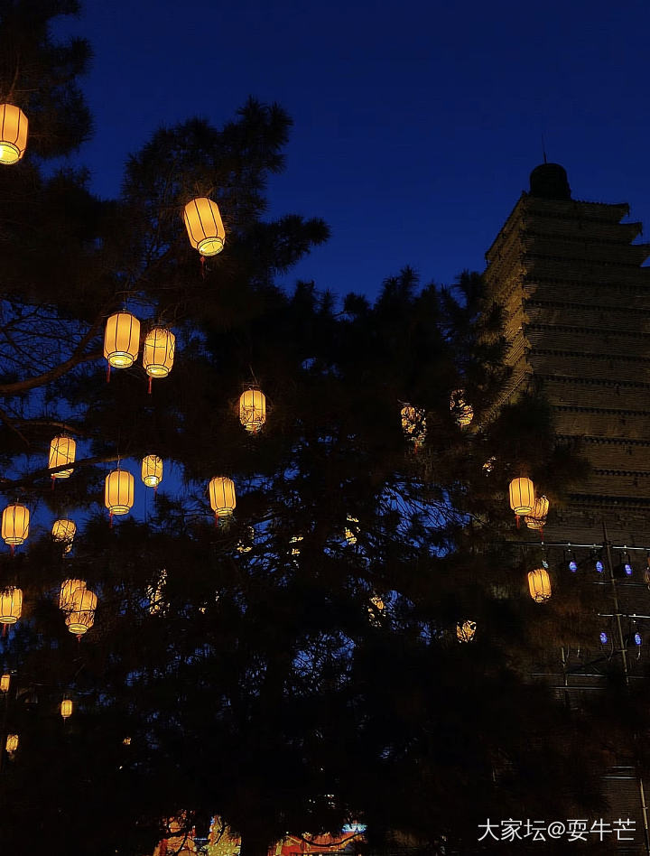 家这边也办了灯会，好漂亮_旅游