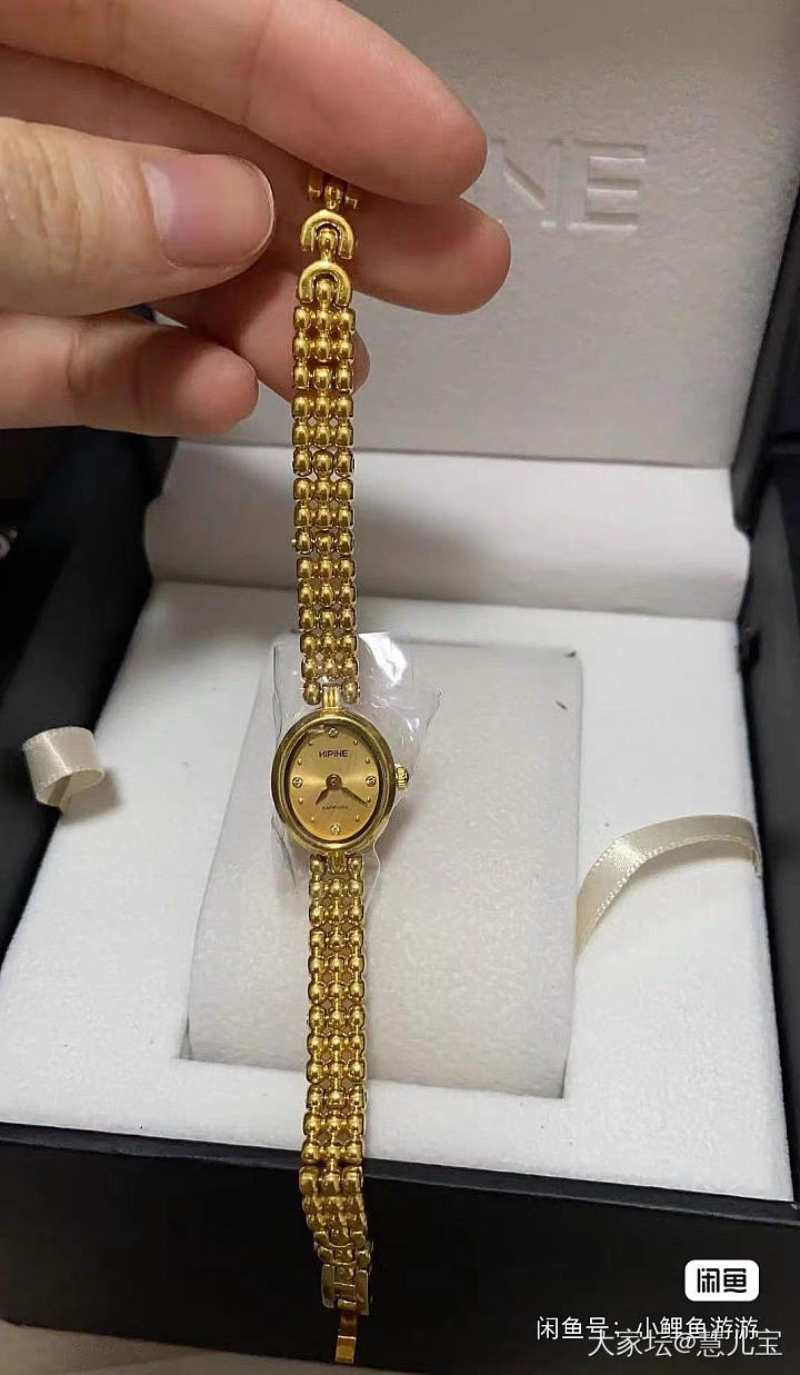 复工倒计时⏳，金表极限二选一，劳烦坛友姐妹👭！_金手表