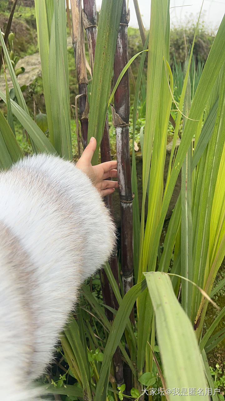 升温了，毛草草得收起来了_穿搭