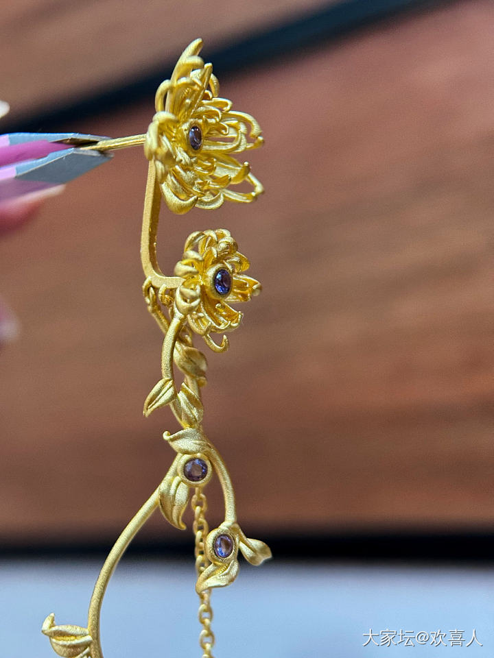 赏菊_金
