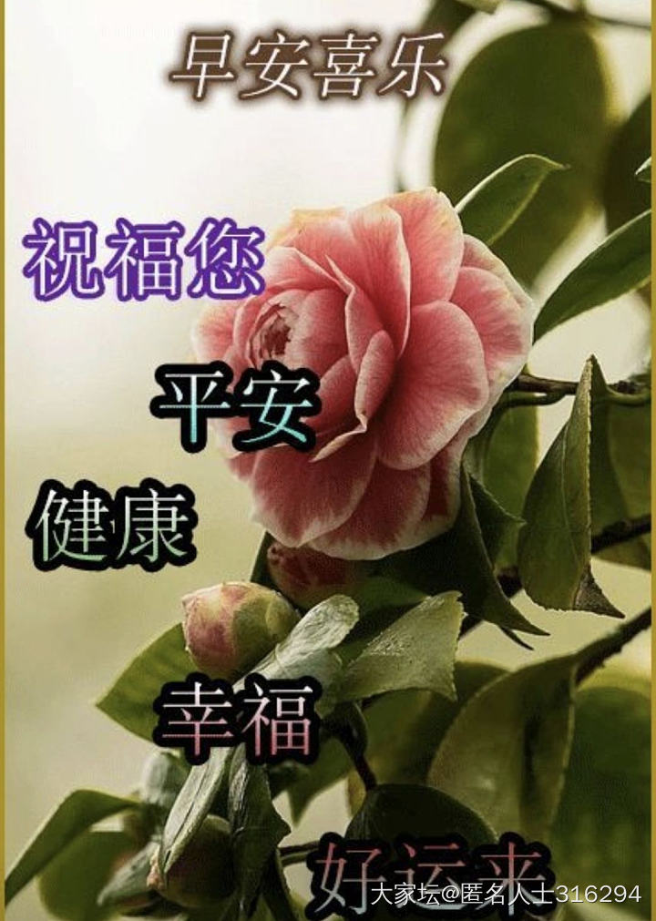 感谢坛里的姐妹们，姐妹们的善良热情多次帮我解开迷惑。无以为报，只能送上祝福。_节日