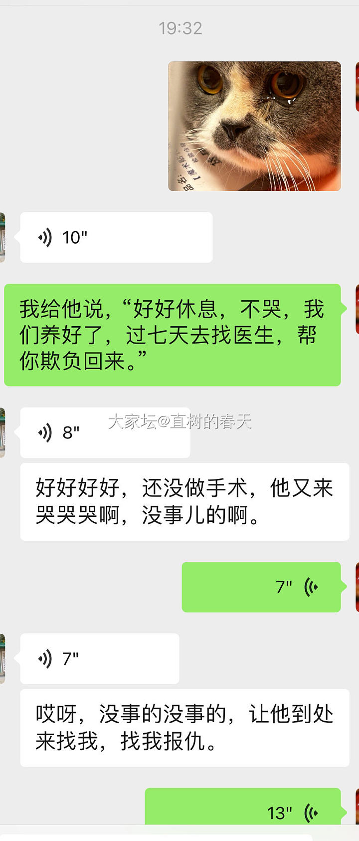 今天，俩只小可爱被人欺负了…_猫宠物