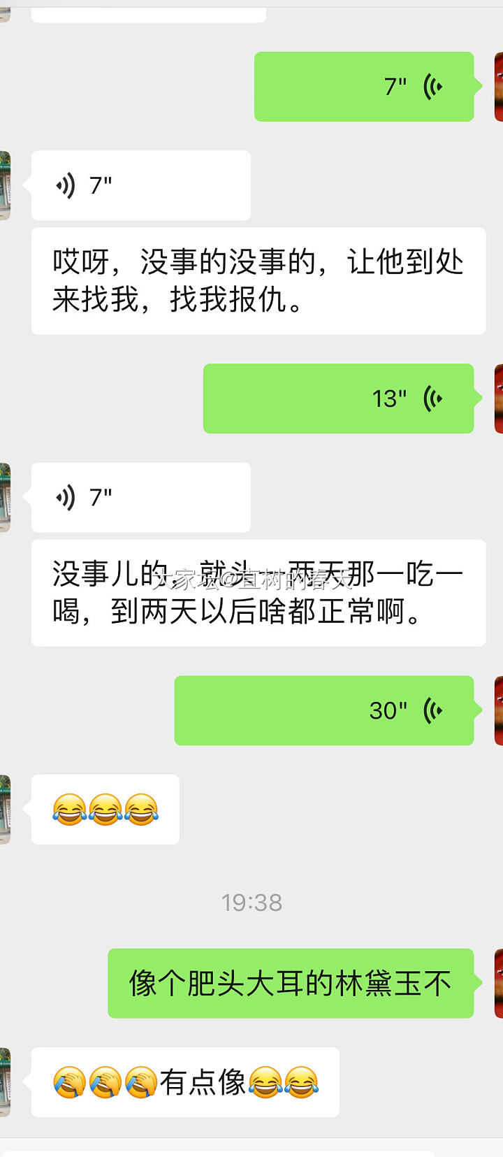 今天，俩只小可爱被人欺负了…_猫宠物