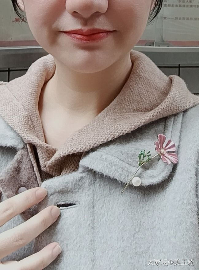 今天戴这个_胸饰
