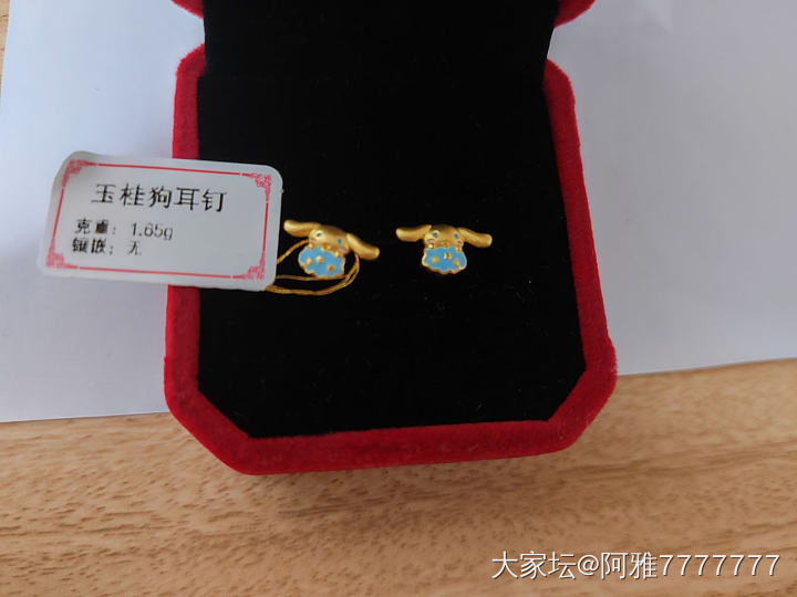 玉桂狗_耳钉金