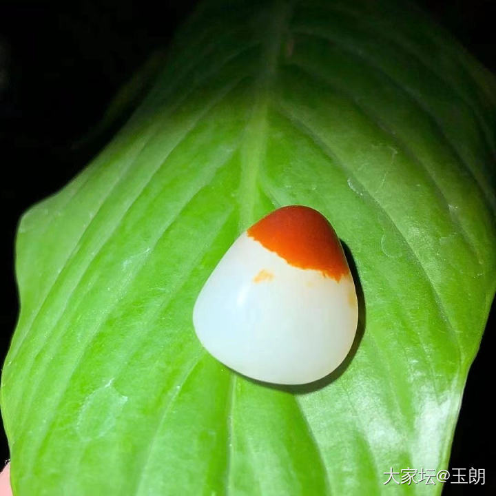 凝聚的力量_收藏原石玉石和田玉