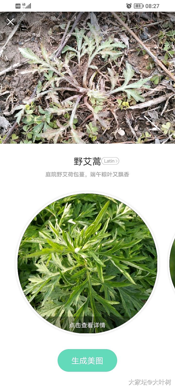 推荐春天挖野菜的好帮手——形色_食材