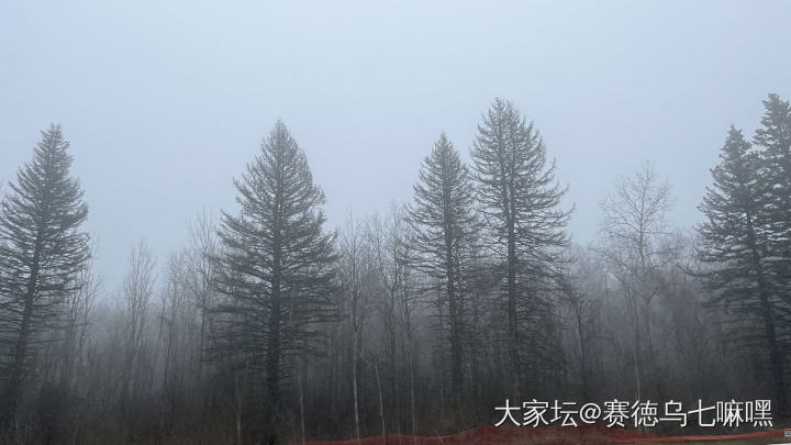 昨晚雾很大，今天还是灰蒙蒙的，不出门做包子吃_美食