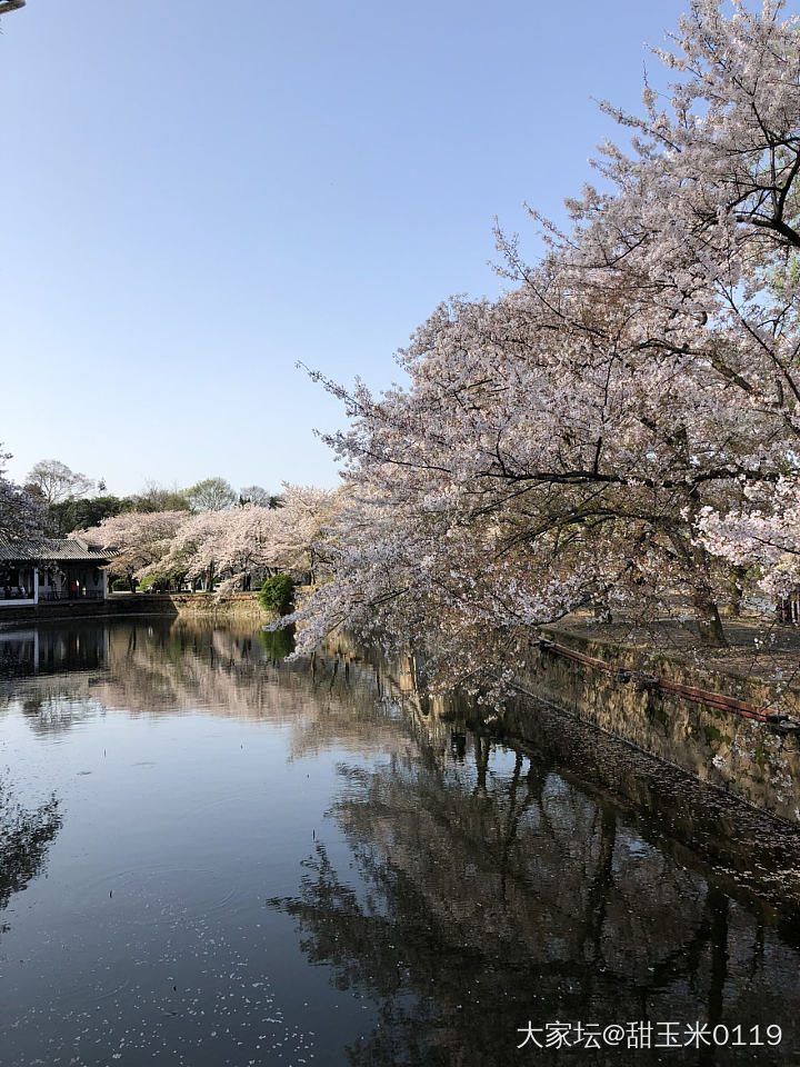 三月下旬去无锡赏樱🌸，求推荐好吃好喝好玩的_无锡旅游