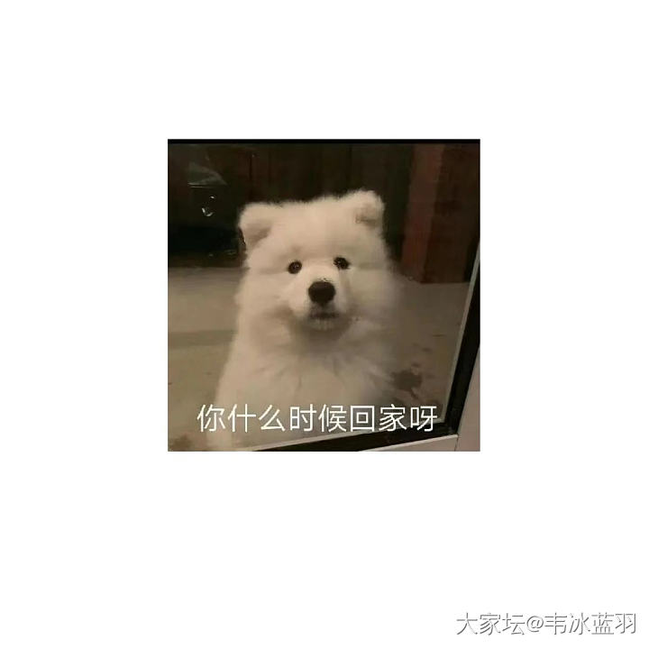 你什么时候回家呀_闲聊