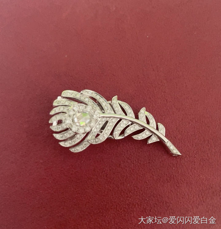 没忍住来秀一个，宝诗龙羽毛耳拍定制_耳饰培育钻钻石