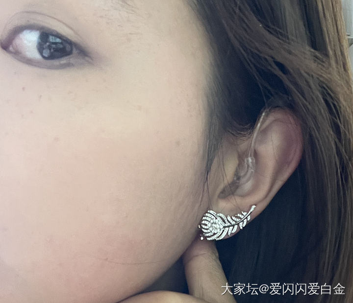 没忍住来秀一个，宝诗龙羽毛耳拍定制_耳饰培育钻钻石