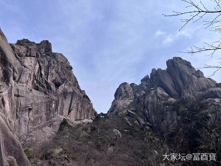 黄山一日游
祝女神们：节日快乐_旅游