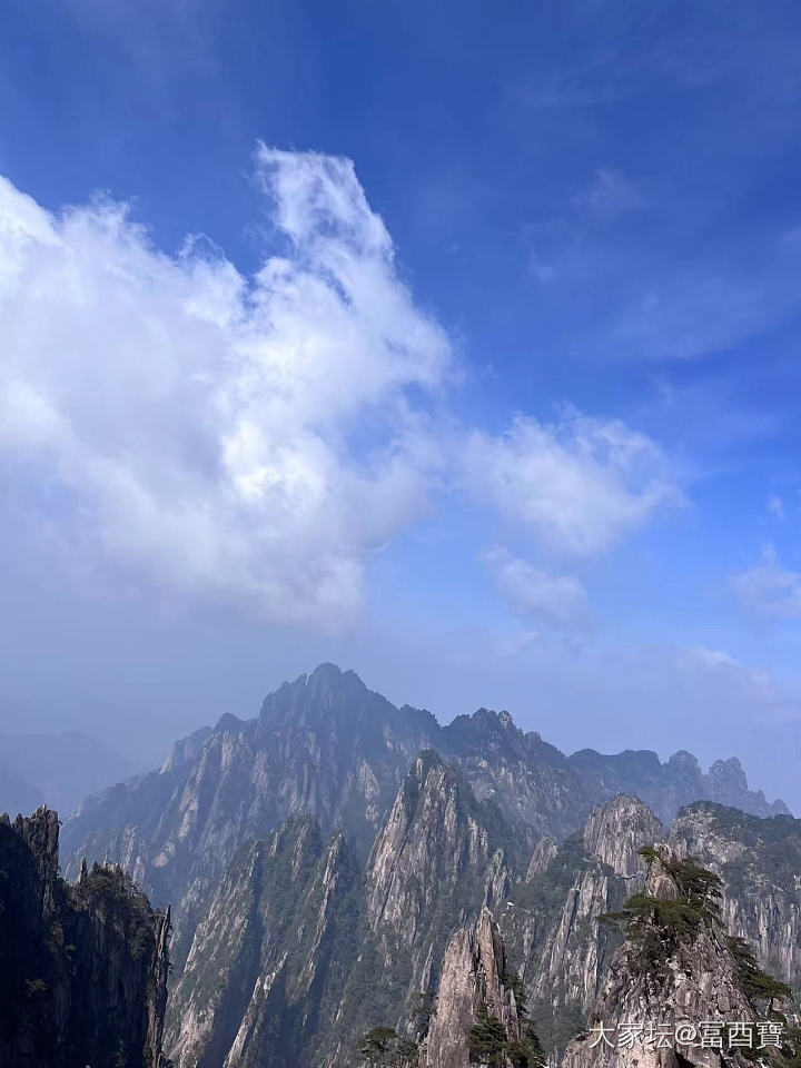 黄山一日游
祝女神们：节日快乐_旅游