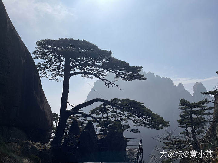 女神节羊毛~
3.6-3.8女神节黄山免门票~此等羊毛怎能不薅，说走就走~恰巧这..._旅游