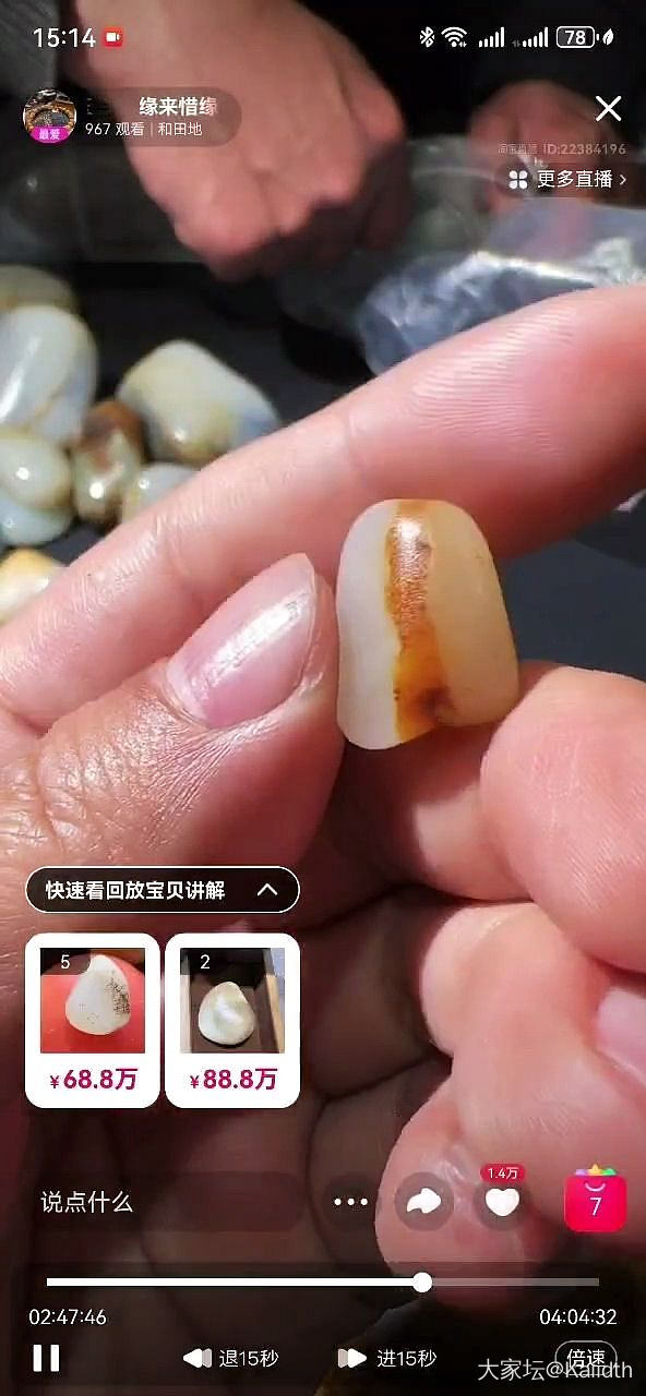 请教坛友，这颗籽是真的吗？_和田玉
