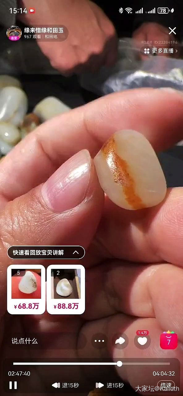 请教坛友，这颗籽是真的吗？_和田玉