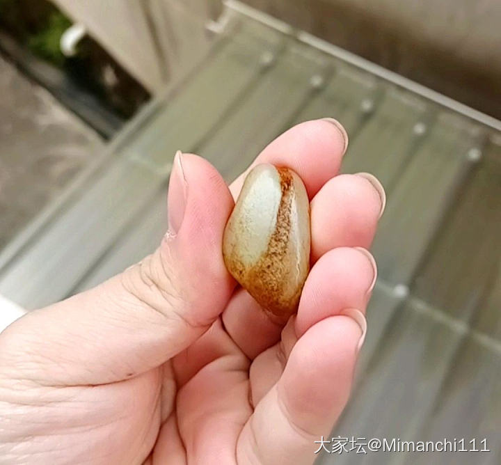 请教坛友，这颗籽是真的吗？_和田玉