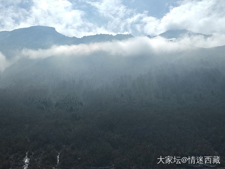 妇女节觅到价格美好的川贝_旅游闲聊