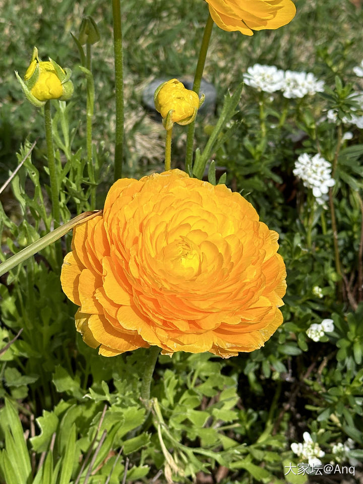 春天就要看花花啊！_花