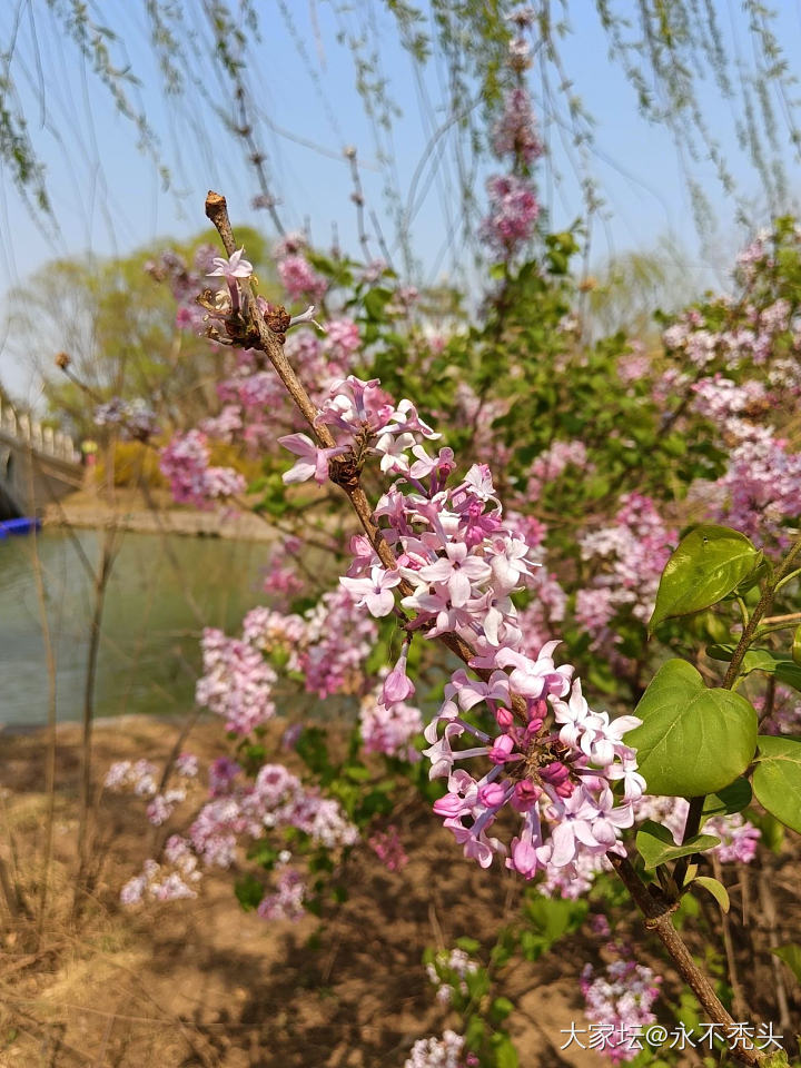 春天就要看花花啊！_花