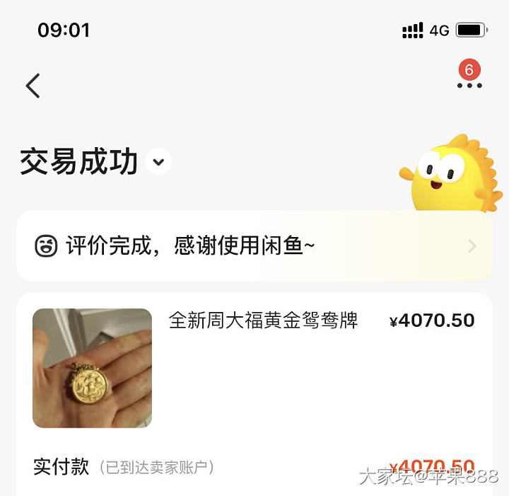 编绳真是大坑_金编绳