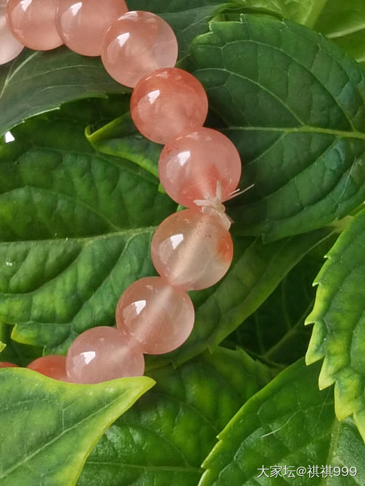 花鸟市场200块入手，卖家说是南红。
这个价格不像是南红，但是实在太漂亮了，明知..._玉髓玛瑙