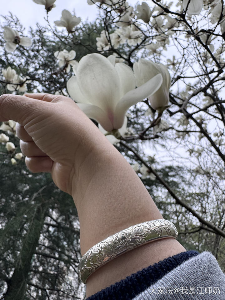 雨中赏玉兰当然要戴玉兰花的镯子啊😊_银