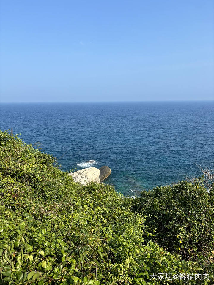 打个飞嘀去吃椰子鸡🌴🐔_旅游